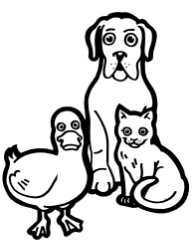 Eend hond kat
